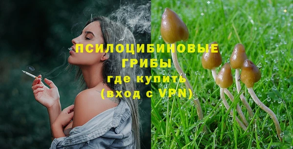 мдпв Бородино