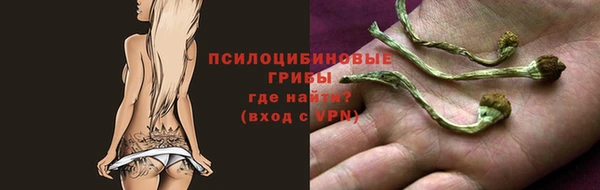 мдпв Бронницы