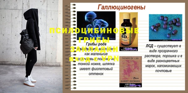 мдпв Бородино