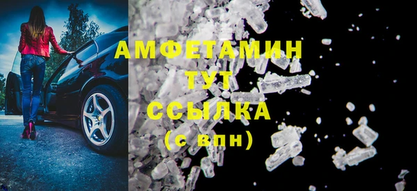 мдпв Бородино